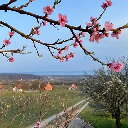 Apartment Panorama Borbirtok