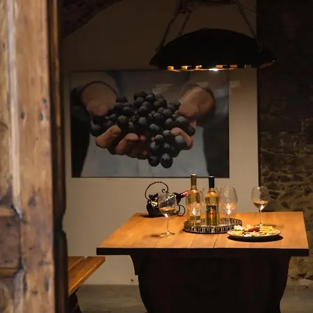 Apartment Panorama Borbirtok *