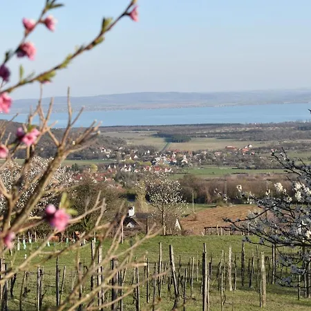 Panorama Borbirtok Mencshely