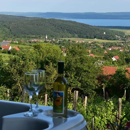 Panorama Borbirtok Mencshely