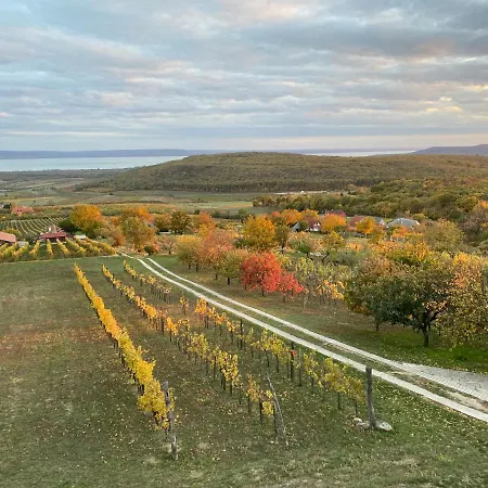 Apartment Panorama Borbirtok