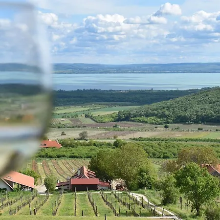 Panorama Borbirtok Apartment Mencshely