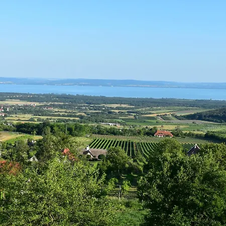 Panorama Borbirtok Apartment *