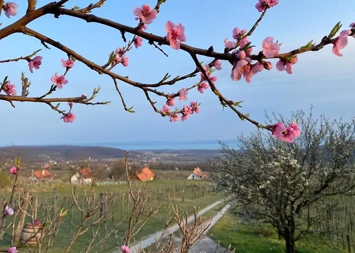 Apartamento Panoráma Borbirtok