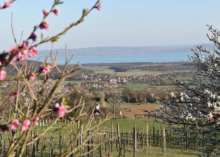 Panoráma Borbirtok Mencshely