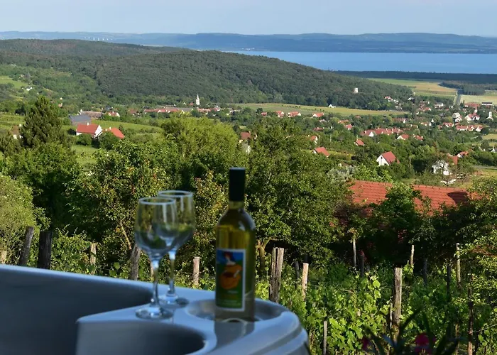 Panorama Borbirtok Mencshely