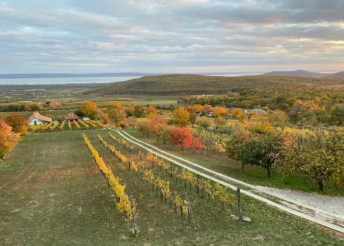 Daire Panorama Borbirtok