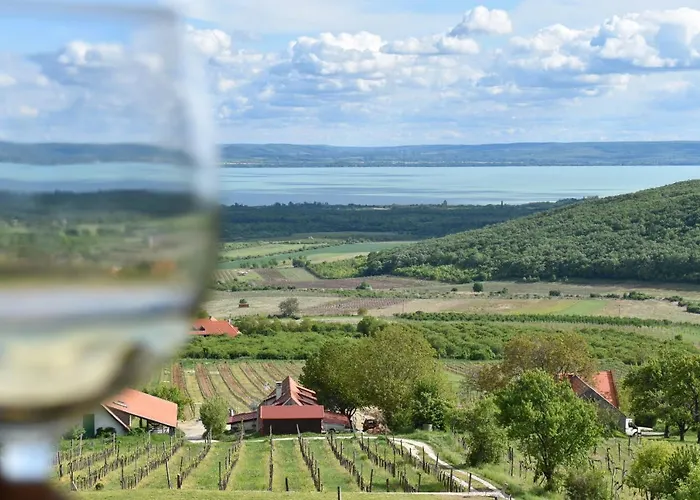 Panorama Borbirtok Daire Mencshely