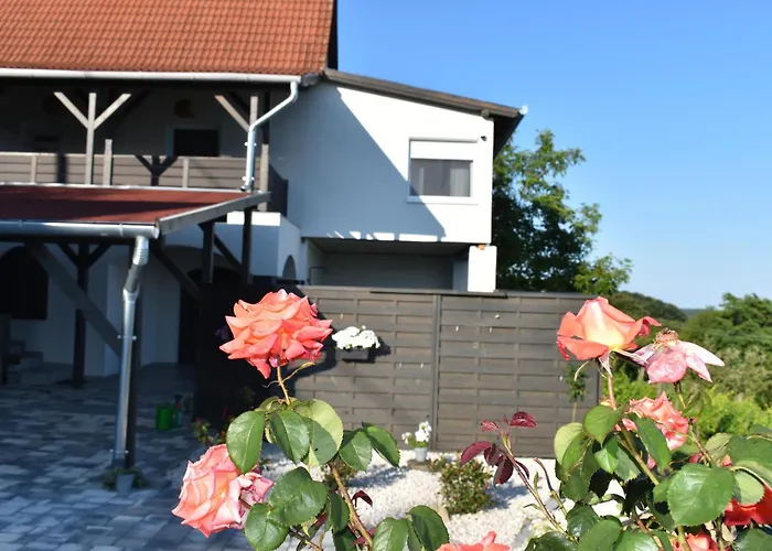 Panoráma Borbirtok Apartamento *