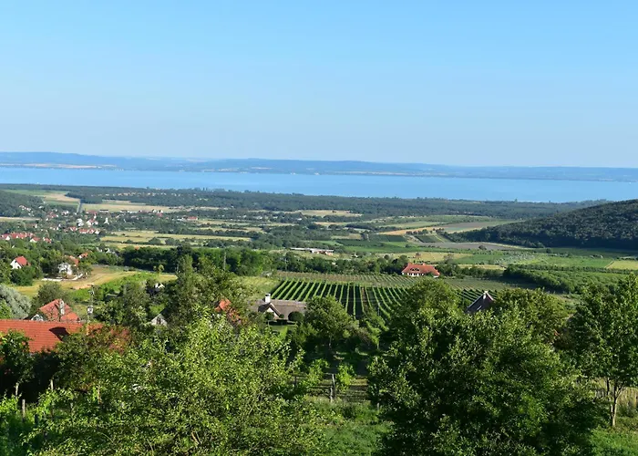 Panorama Borbirtok Daire *